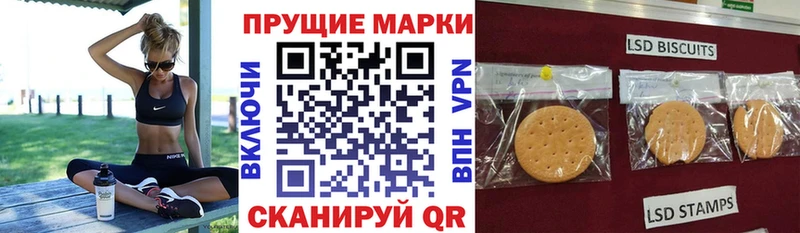 сколько стоит  Ковров  Марки NBOMe 1,8мг 