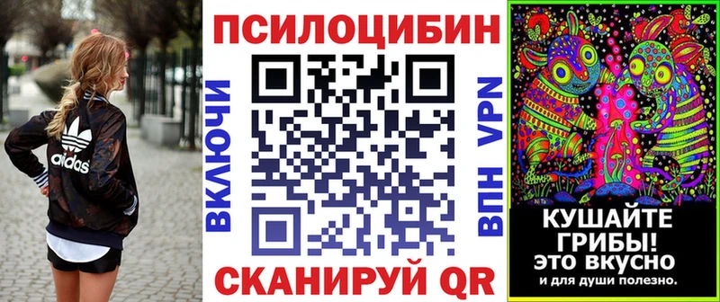 хочу   Ковров  Псилоцибиновые грибы прущие грибы 